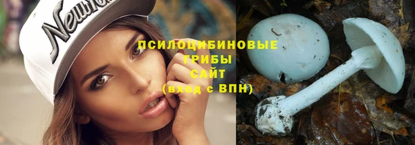 прущие грибы Абдулино