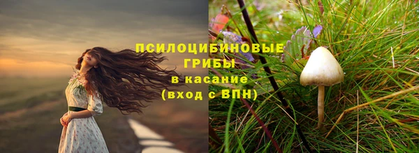 прущие грибы Абдулино